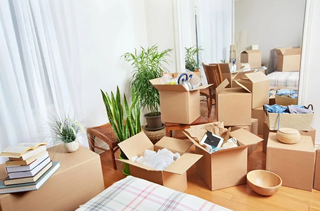 Optimizing Your Move: Why Should You Be Involved In The Process