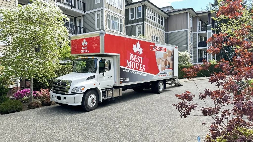 Packing and moving services in Surrey for offices