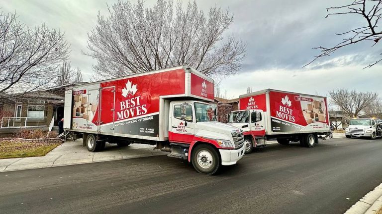 Relocation with Delta movers
